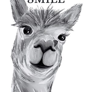 Alpaka Smile Kunstdruck